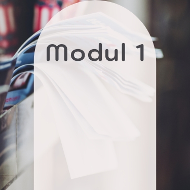 Modul 1: Teilausschnitt eines stilisierten Stadtplans – Projektvorschau für kreative Kartografie im Portfolio.